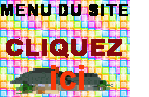 Visiter le site web du posteur